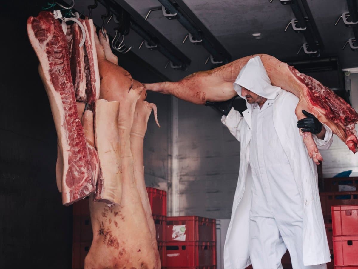 Carcasses on the hook in the shop